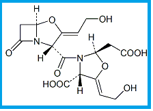 CLAVULANATE POTASSIUM EP IMPURITY E